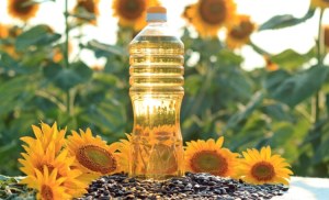 Sunflower Oil