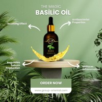 The magic basil oil