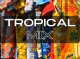 Wholesale offer: Tropical Mix Second Hand Clothing for the African Market! Summer Clothes.